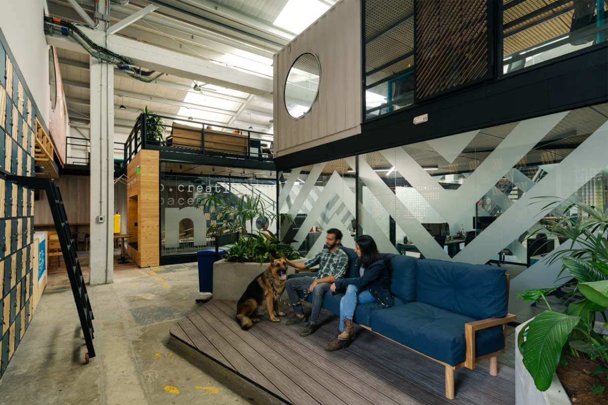 Pareja con su perro descansando en un sofá azul en el lounge de NOI Coworking