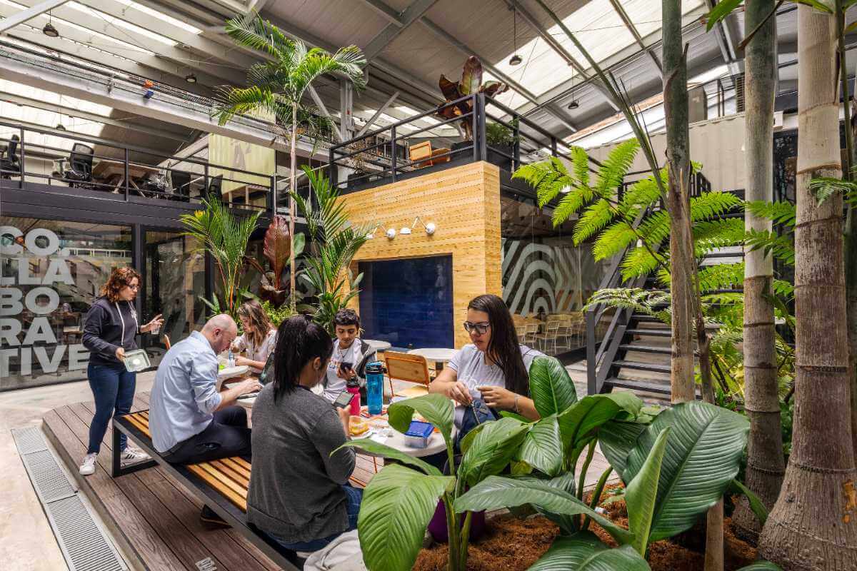 Personas trabajando y compartiendo en una mesa rodeada de vegetación en NOI Coworking